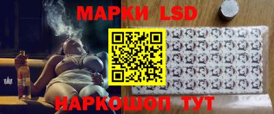 стаф Нальчик