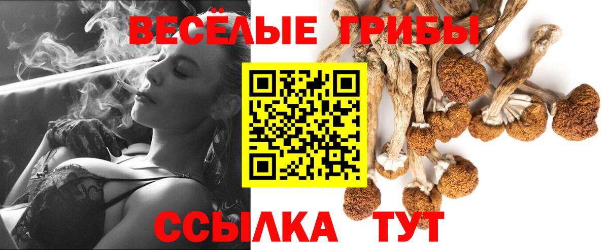 Псилоцибиновые грибы прущие грибы  Вход с VPN  Самара 